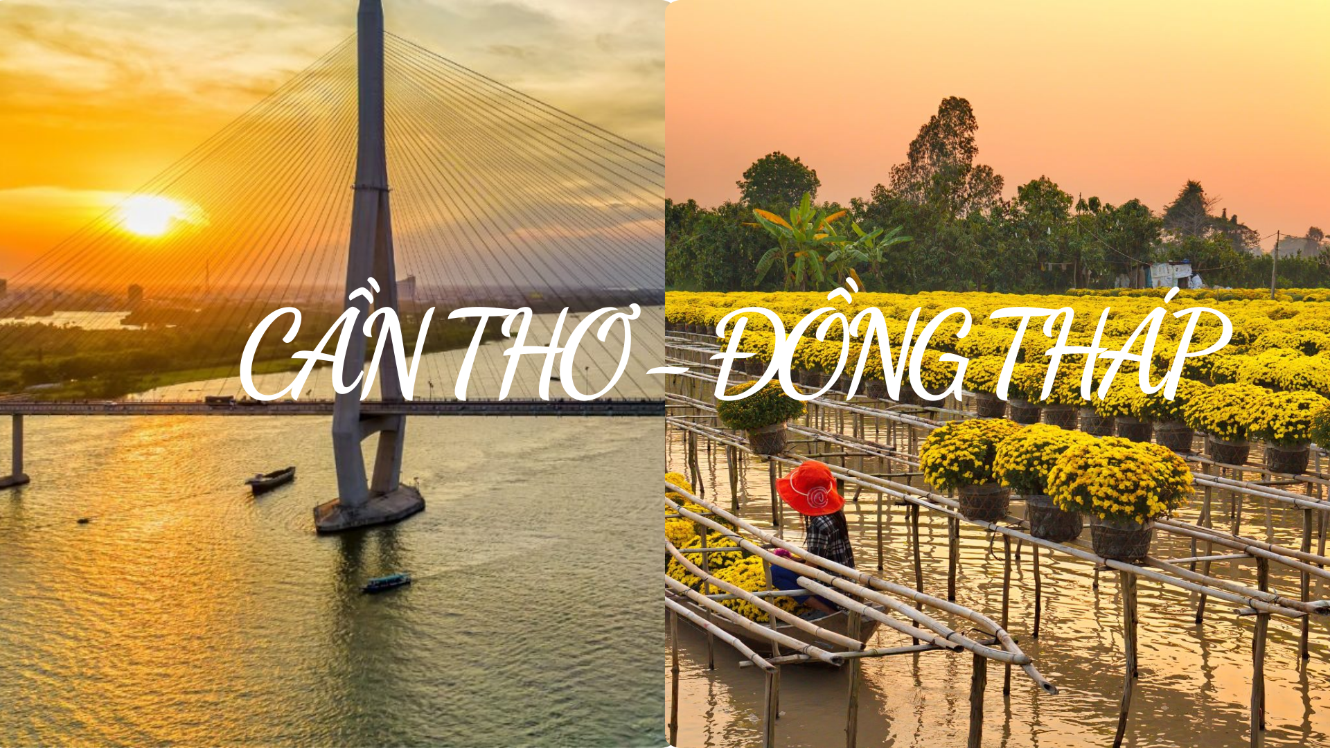 Tour du lịch Cần Thơ - Đồng Tháp - Sa Đéc 2 Ngày 1 Đêm