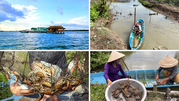 trai-nghiem-bat-cua-tai-ca-mau-1.jpg