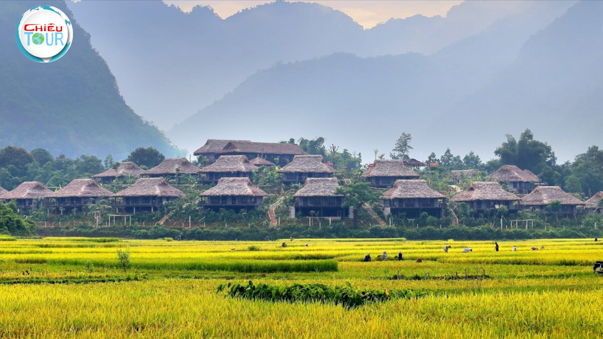 Tour du lịch Điện Biên - Mai Châu - Mộc Châu 4N3D giá rẻ