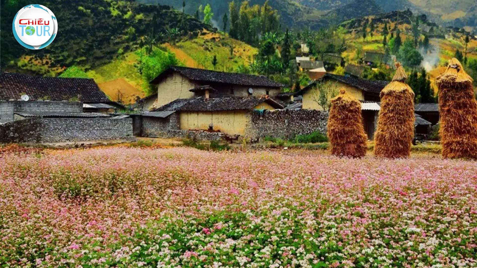 Tour du lịch liên tuyến Hà Giang - Sapa 5N4Đ