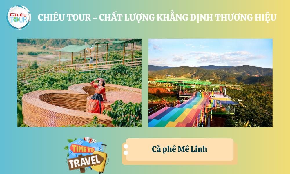 Tour Đà Lạt - Teambuilding 3 Ngày 2 Đêm giá rẻ