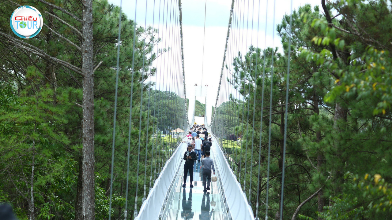 Tour TPHCM - Tà Đùng - Bảo Lộc 2N2Đ ghép đoàn