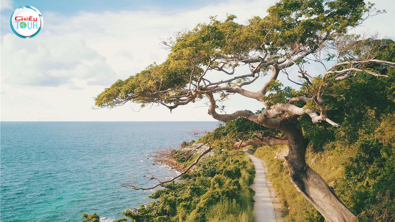 Tour du lịch Nam Du ghép đoàn 2 Ngày 2 Đêm