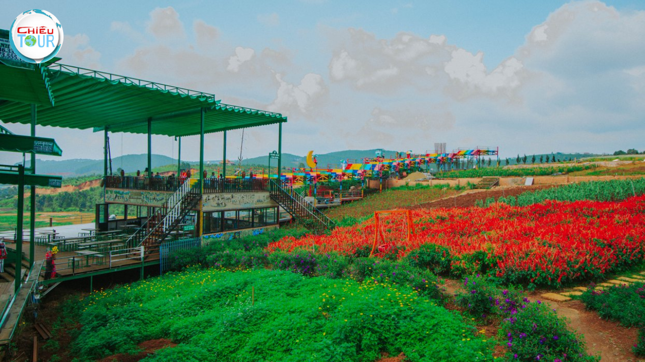 Tour Nha Trang - Đà Lạt 5 Ngày 4 Đêm giá rẻ