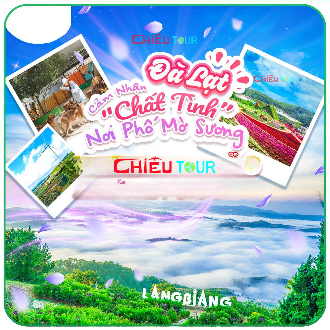tour-du-lich-da-lat-3-ngay-2-dem-di-bang-may-bay-5.jpg