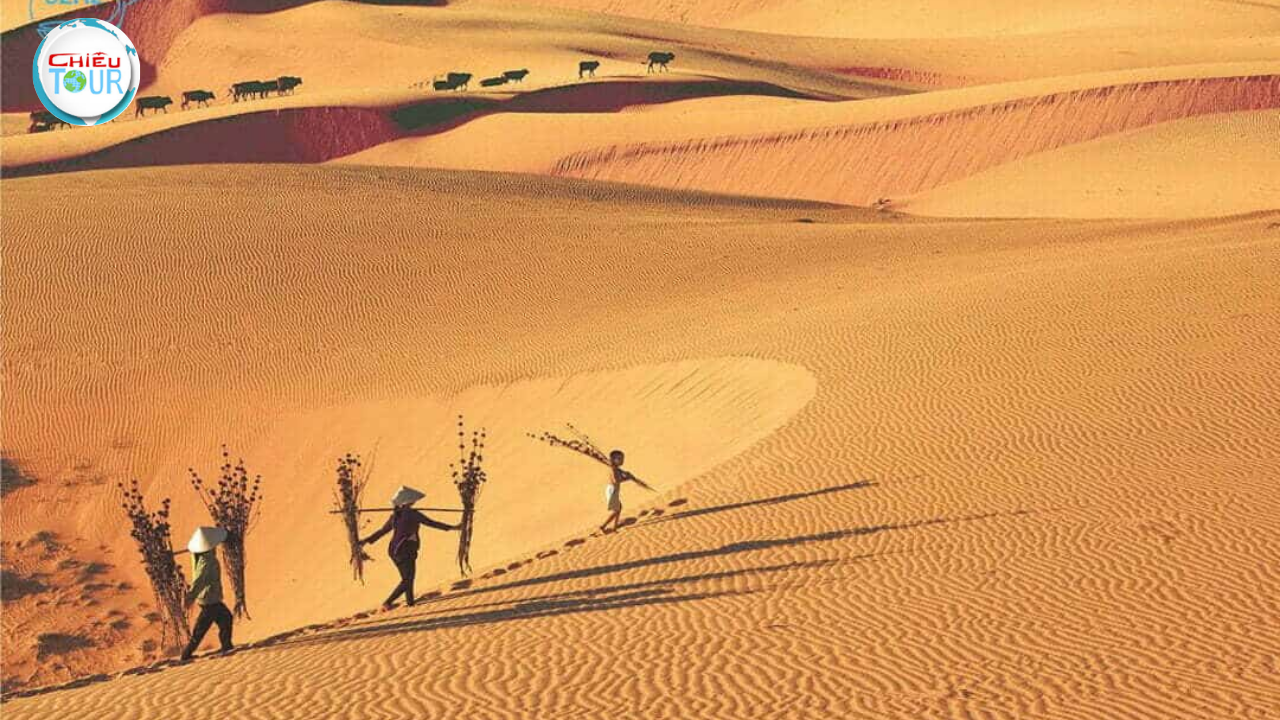 Tour du lịch TPHCM - Mũi Né 3 Ngày 2 Đêm