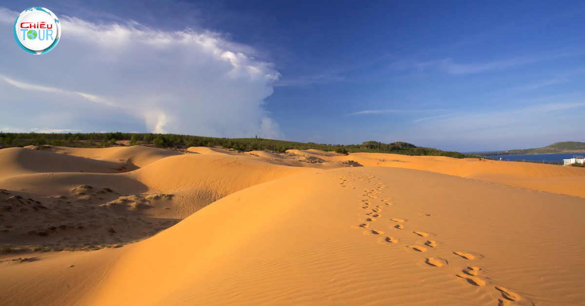 Tour Phan Thiết 2 Ngày 1 Đêm ghép đoàn