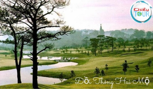 Đồi thông Hai Mộ bên cạnh Hồ Than Thở