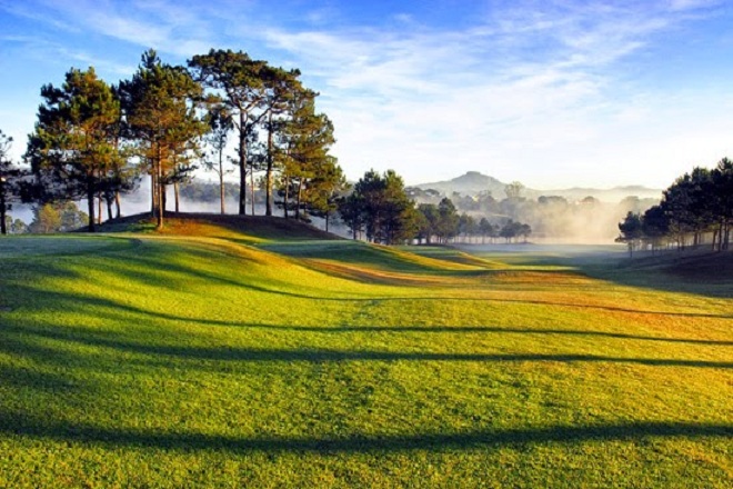 TOUR DU LỊCH HÀ NỘI ĐÀ LẠT GIÁ RẺ 4N3D TOUR DU LỊCH HÀ NỘI ĐÀ LẠT GIÁ RẺ 4N3D