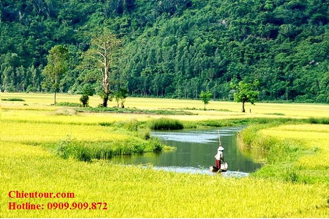 TOUR DU LỊCH LÀO CAI HÀ NỘI ĐI PHÚ YÊN TOUR DU LỊCH LÀO CAI HÀ NỘI ĐI PHÚ YÊN