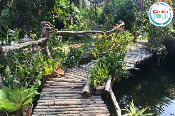 Cầu gỗ trên suối Hoa Lan