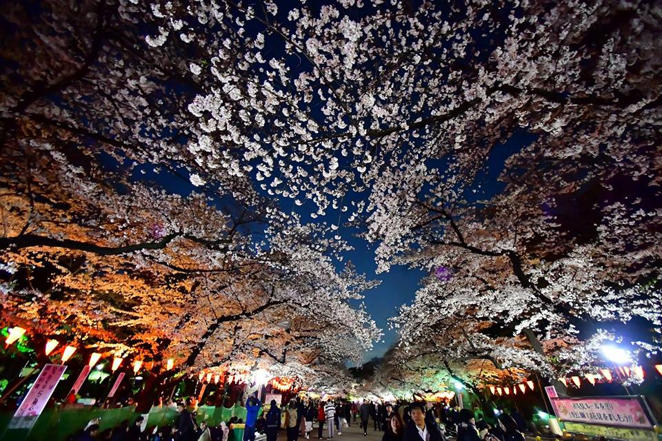 tour Nhật Bản ngay tại Hà Nam tour Nhật Bản ngay tại Hà Nam