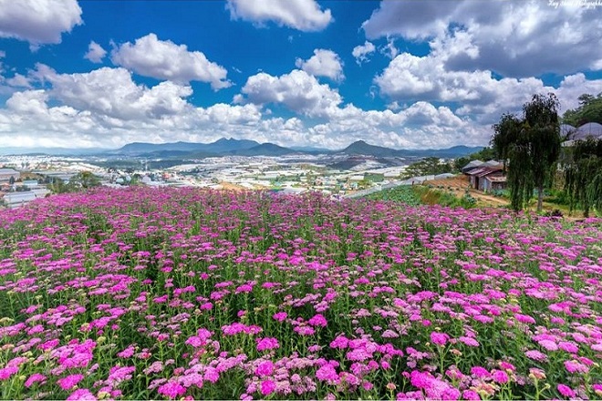 TOUR DU LỊCH MADAGUI TEAMBUILDING TOUR DU LỊCH MADAGUI TEAMBUILDING
