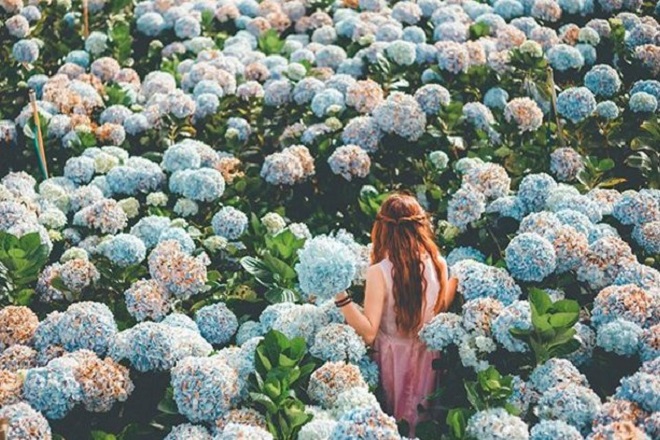 TOUR DU LỊCH ĐÀ LẠT TỪ CẦN THƠ TOUR DU LỊCH ĐÀ LẠT TỪ CẦN THƠ