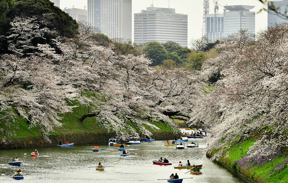 tour Nhật Bản ngay tại Nam Định tour Nhật Bản ngay tại Nam Định
