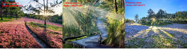 TOUR DU LỊCH TRÀ VINH NHA TRANG ĐÀ LẠT GIÁ RẺ CHẤT LƯỢNG TOUR DU LỊCH TRÀ VINH NHA TRANG ĐÀ LẠT GIÁ RẺ CHẤT LƯỢNG