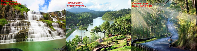 TOUR DU LỊCH ĐÀ LẠT 1 NGÀY TRẢI NGHIỆM TOUR DU LỊCH ĐÀ LẠT 1 NGÀY TRẢI NGHIỆM