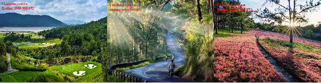 TOUR DU LỊCH TRÀ VINH NHA TRANG ĐÀ LẠT GIÁ RẺ CHẤT LƯỢNG TOUR DU LỊCH TRÀ VINH NHA TRANG ĐÀ LẠT GIÁ RẺ CHẤT LƯỢNG