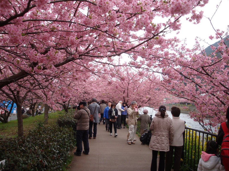 tour Nhật Bản ngay tại Hòa Bình tour Nhật Bản ngay tại Hòa Bình