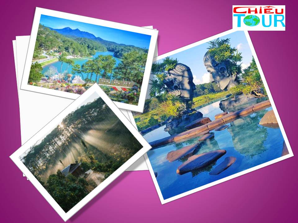 Tour Đà Lạt Tết Âm Lịch 2020 Tour Đà Lạt Tết Âm Lịch 2020