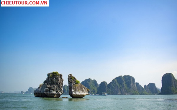 Hòn Gà Chọi tại Vịnh Hạ Long