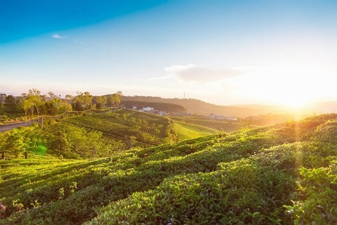 TOUR DU LỊCH ĐÀ LẠT TỪ TIỀN GIANG TOUR DU LỊCH ĐÀ LẠT TỪ TIỀN GIANG