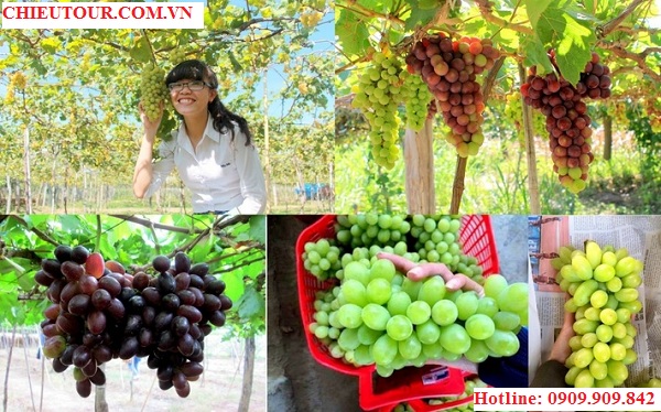 tour-teambuilding-3n3d-ninh-chu-vinh-hy