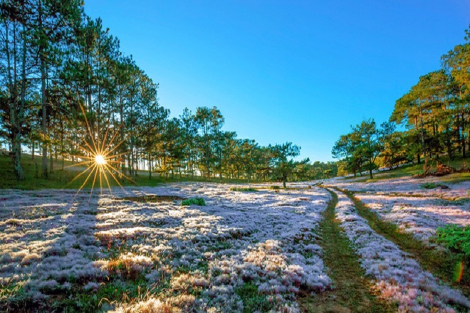 TOUR DU LỊCH AN GIANG ĐI NHA TRANG GIÁ RẺ TOUR DU LỊCH AN GIANG ĐI NHA TRANG GIÁ RẺ