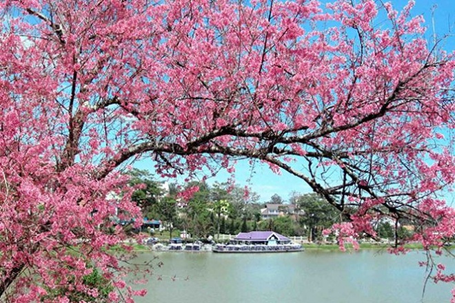 TOUR DU LỊCH HÀ NỘI ĐÀ LẠT GIÁ RẺ 4N3D TOUR DU LỊCH HÀ NỘI ĐÀ LẠT GIÁ RẺ 4N3D