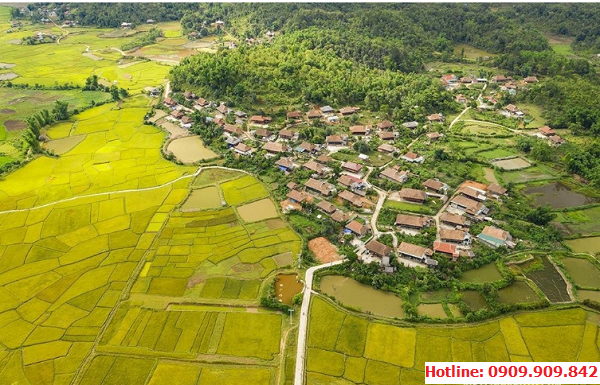 Cánh đồng tại Bản Che Căn - Điện Biên