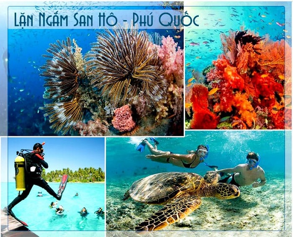 Tour Câu cá, lặn ngắm san hô tại Phú Quốc