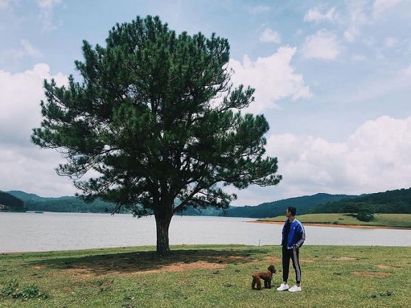 Check-in tại Cây thông cô đơn Đà Lạt