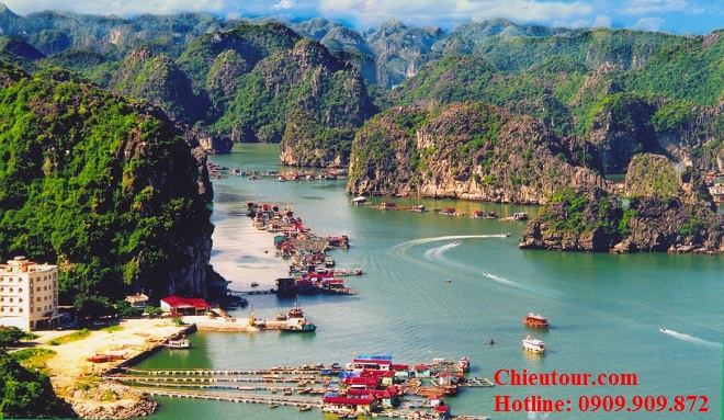 Đảo Cát Bà