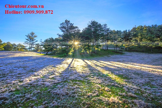 tour-da-lat-tet-am-lich TOUR DU LỊCH TẾT ĐÀ LẠT 3 NGÀY 3 ĐÊM