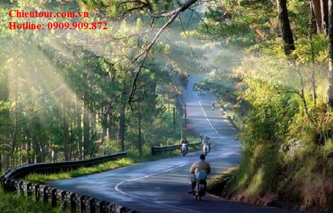 TOUR DU LỊCH ĐÀ LẠT 3N3D LÃNG MẠN TOUR DU LỊCH ĐÀ LẠT 3N3D LÃNG MẠN