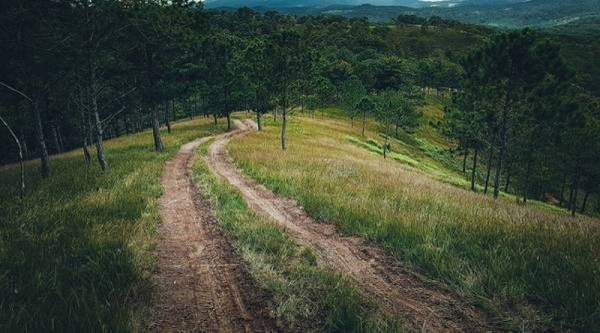 Cung đường tuyệt đẹp đi đến Cây Thông Cô Đơn