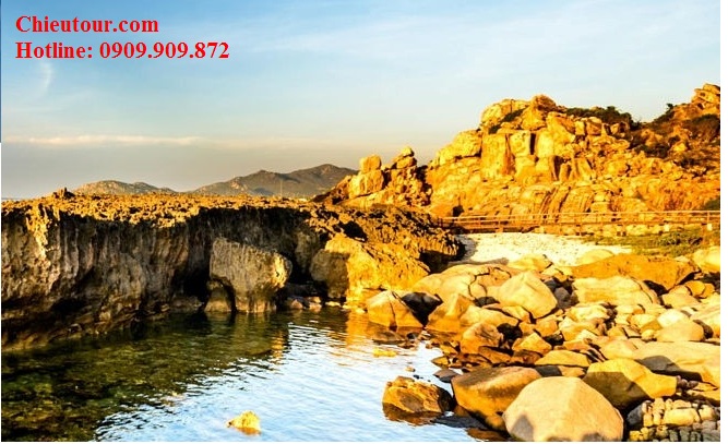 Tour Ninh Chữ Bình Hưng ngắm san hô Tour Ninh Chữ Bình Hưng ngắm san hô