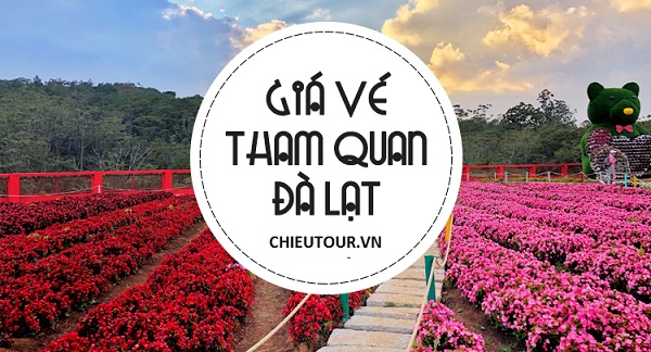 Review giá vé tham quan tại Đà Lạt