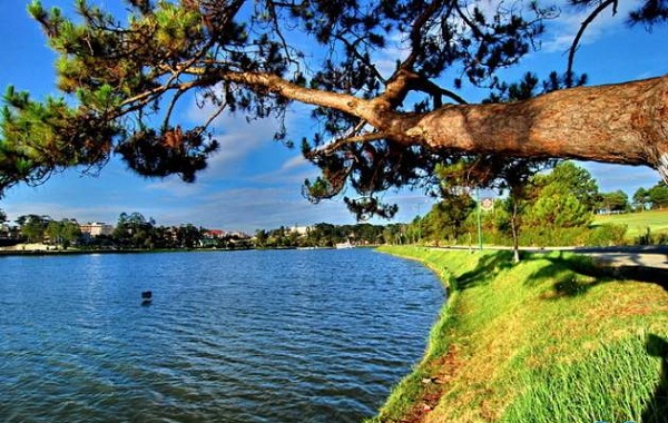 Một góc tại Hồ Than Thở Đà Lạt