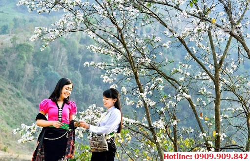 Hoa Ban vùng Tây Bắc tuyệt đẹp cùng người Thái