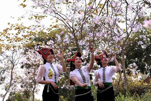 Hoa Ban cùng Thiếu nữ người Thái