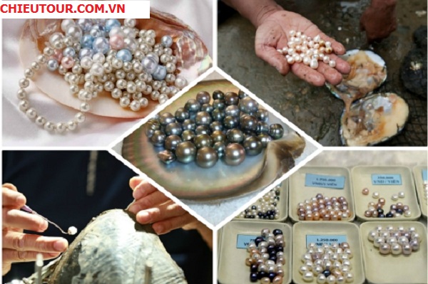 tour-du-lich-hai-phong-nha-trang-vinpearl-gia-re