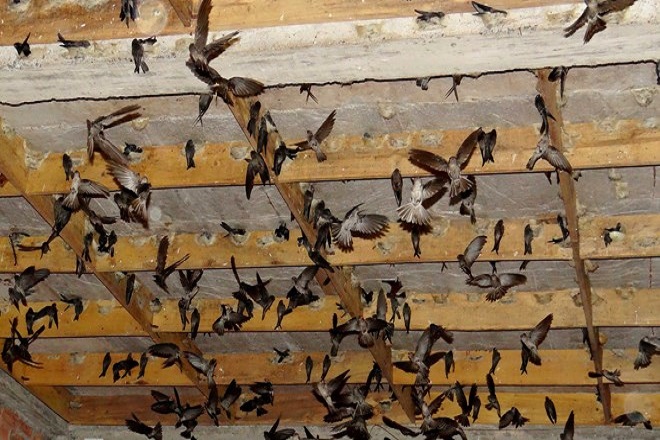 NHA TRANG – DU NGOẠN ĐẢO – CHÙA LONG SƠN - NHÀ YẾN – THÁP BÀ PONAGAR – SUỐI KHOÁNG THÁP BÀ NHA TRANG – DU NGOẠN ĐẢO – CHÙA LONG SƠN - NHÀ YẾN – THÁP BÀ PONAGAR – SUỐI KHOÁNG THÁP BÀ