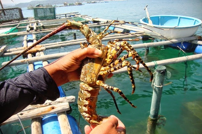 TOUR TỨ BÌNH: BÌNH BA - BÌNH HƯNG - BÌNH LẬP - BÌNH TIÊN