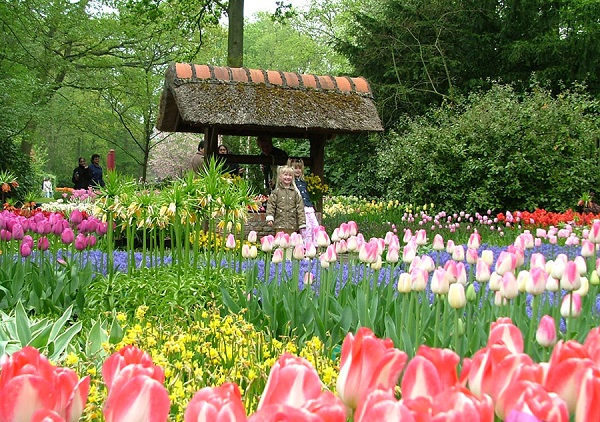 Sắc hoa tại Vườn hoa thành phố Đà Lạt