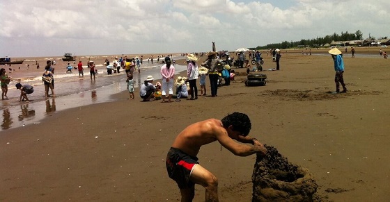 Biển Thạnh Phú Ben Tre Biển Thạnh Phú Ben Tre