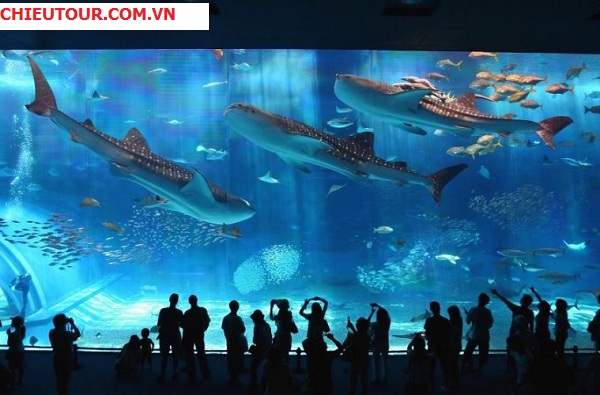 tour-du-lich-da-nang-nha-trang-vinpearl-gia-re