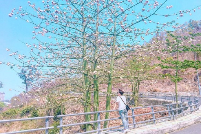 tour-du-lich-binh-phuoc-di-vung-tau-2-ngay-1-dem TOUR DU LỊCH BÌNH PHƯỚC ĐI VŨNG TÀU 2 NGÀY 1 ĐÊM