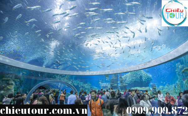 Viện Hải Dương Học tại Nha Trang