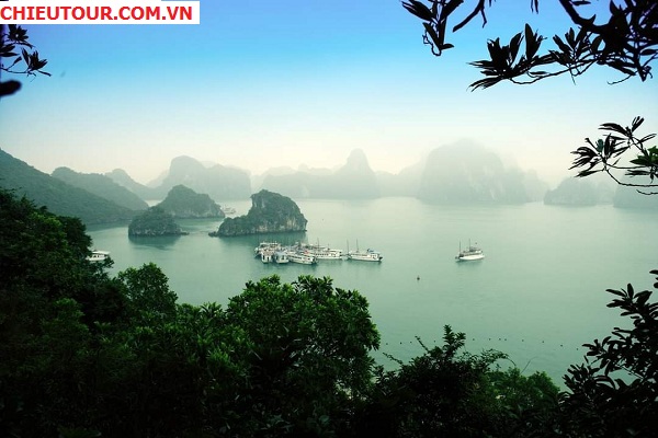 Hình ảnh Vịnh Hạ Long – Kỳ Quan Thiên Nhiên thế giới